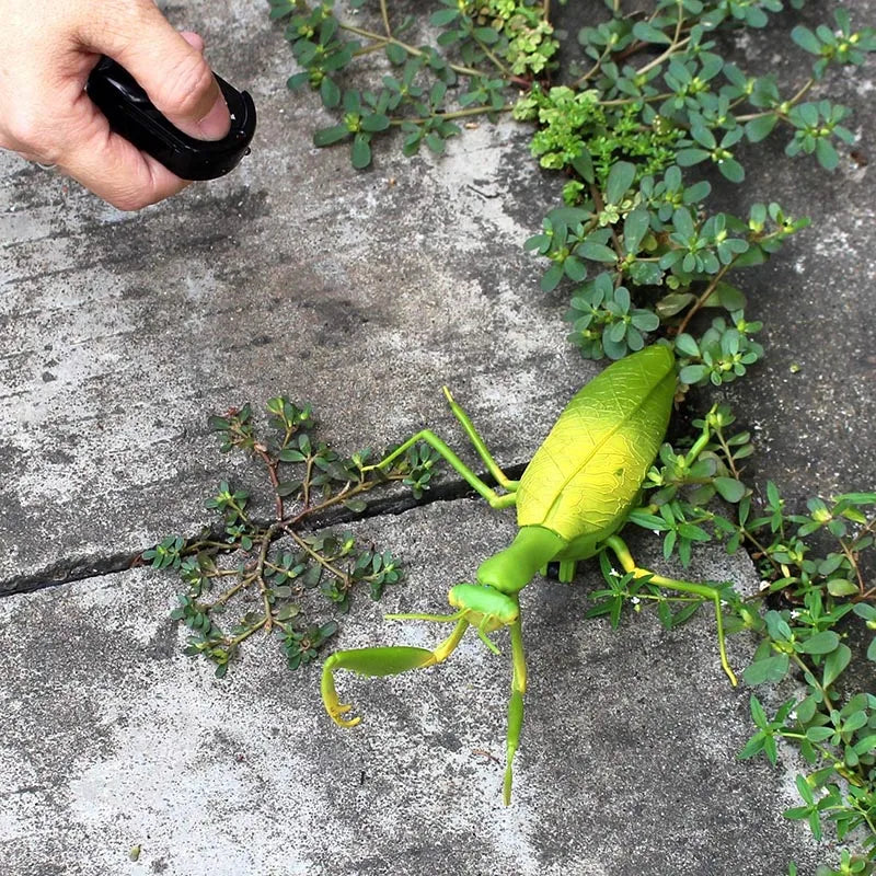RC Animal Robot Antistress Insect Toys