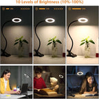 USB Reading Desk Lamp - 3 Modes & 10 Dimming Levels