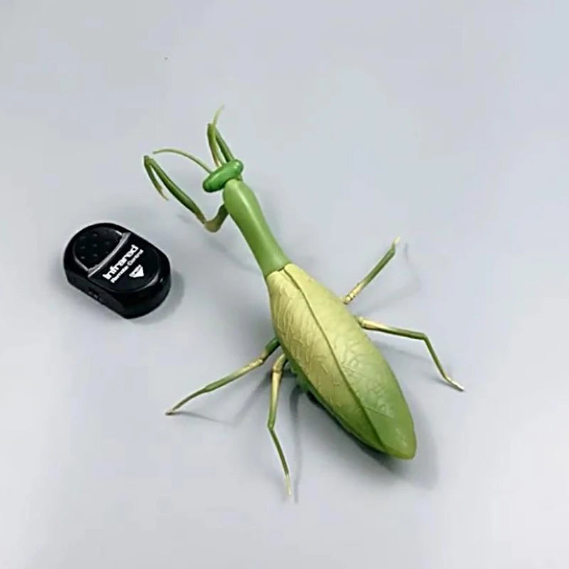 RC Animal Robot Antistress Insect Toys