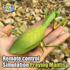 RC Animal Robot Antistress Insect Toys