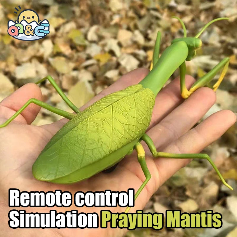 RC Animal Robot Antistress Insect Toys